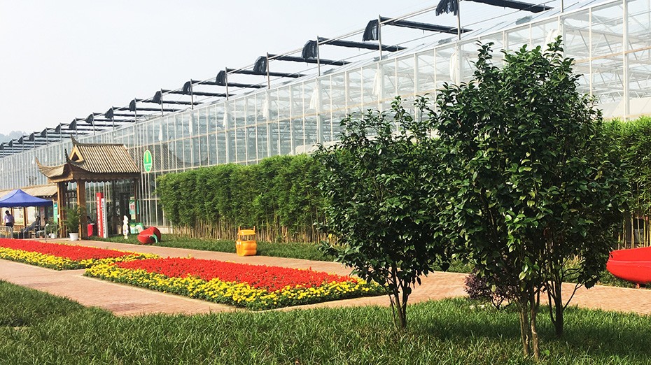 k1体育园林绿化维护